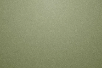 Olive HD Desktop Wallpapers : High Definition : Fullscreen : Mobile ...