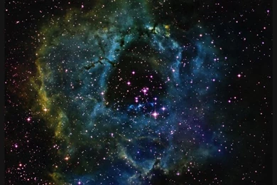 Rosette Nebula By Light Vortex Astronomy