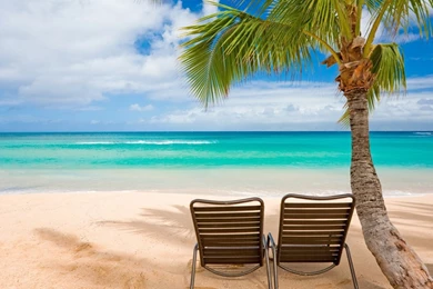 Maui   The Islands Of Hawaii Wallpapers   1366x768   357860