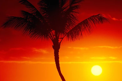 Download Warmth Of Summer, Maui, Hawaii Wallpapers, Pictures ...