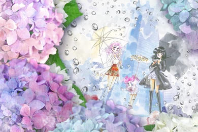 Sailor Moon Wallpapers