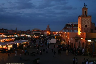 Todd Adams Photography