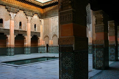 Todd Adams Photography