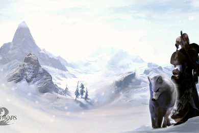 371 Guild Wars 2 HD Wallpapers