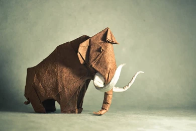 Art Wallpapers 2560×1600 56   WideWallpaper.info