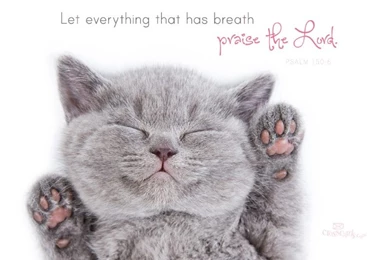 Praise The Lord Desktop Wallpapers   Free Animals Backgrounds