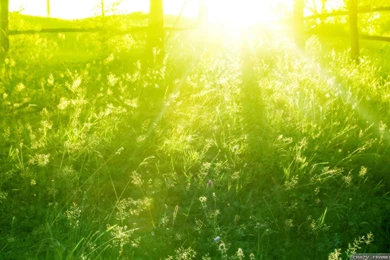 M Is For Morning – Berijoy's Bliss