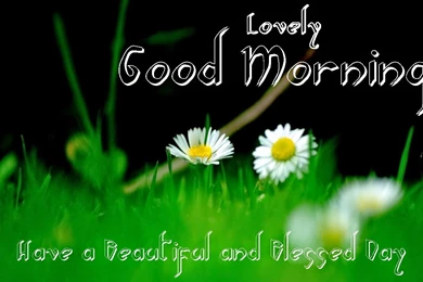 HD Wallpapers Free Download