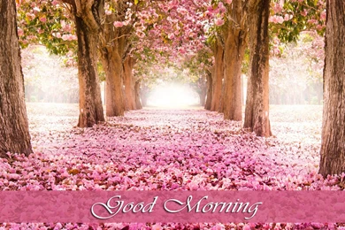 Good Morning Love Images Wallpapers