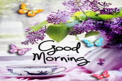 Good Morning Wallpapers