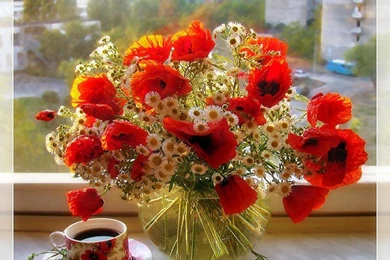 Download good morning wallpaper for facebook 7311.jpg