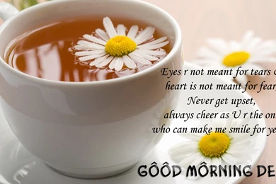 Gud Morning Wallpapers Collection (41+)