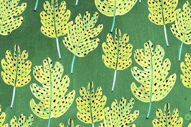 Desktop Wallpapers Archives   Think.Make.Share.