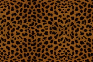 Spotty Wallpapers   Wallpapers HD Base