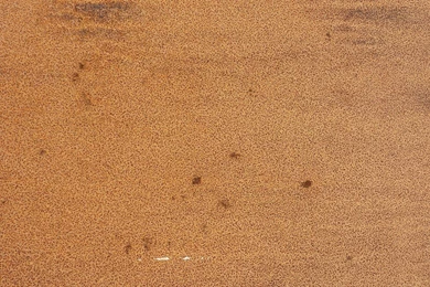 Rusted Grunge Texture Metal Wall Oxidized Steel Spotted Surface Wallpapers Orange.jpg