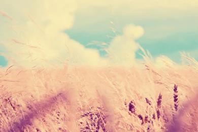 Cute Wallpapers High Definition Inspiring   Fullwidehd.com