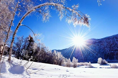 Snowfall Wallpapers HD   Android Apps On Google Play