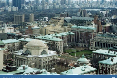 Wallpapers / Desktop Themes