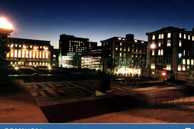 Wallpapers / Desktop Themes