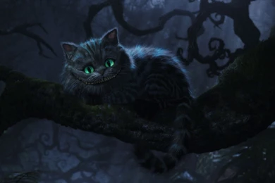 Cheshire Cat Wallpapers   Wallpapers Cave