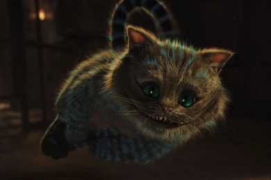 Cheshire Cats HD Wallpapers
