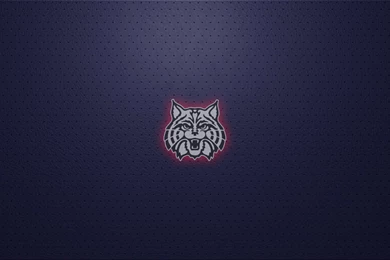 Arizona Wildcats Wallpapers   Wallpapers Zone