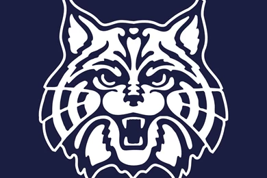 University Of Arizona Desktop Wallpapers   Wallpapers Cave