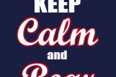 Bear Down On Pinterest