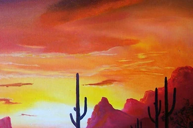 Arizona University Campus   Wallpaper.