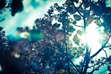 Tumblr Backgrounds Hipster Wallpapers » WallDevil   Best Free HD ...