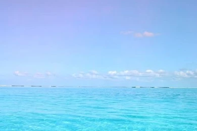 Wallpapers For Your Phone : TheBERRY