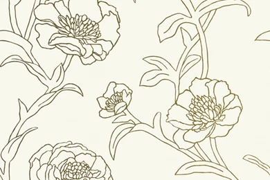 Wall Decor: Charming Tempaper Wallpapers For Wall Decor Ideas ...