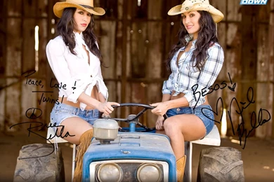 WWE WALLPAPERS: The Bella Twins