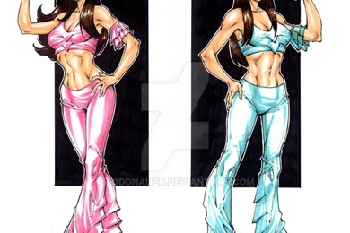 DeviantArt: More Like Bella Twins Wallpapers By Lilhypa1
