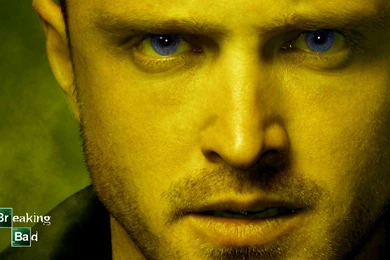 Jesse Pinkman   Breaking Bad