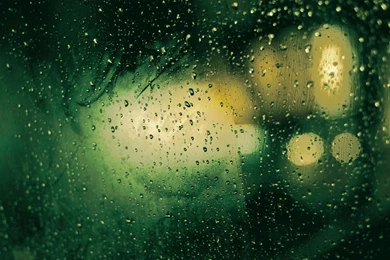 Green Rainy Day   HD Abstract Wallpapers