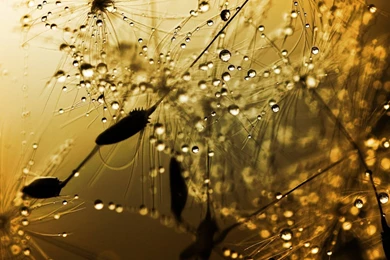 Rainy Wallpapers 1920x1080 (14)   Hebus.org   High Definition ...