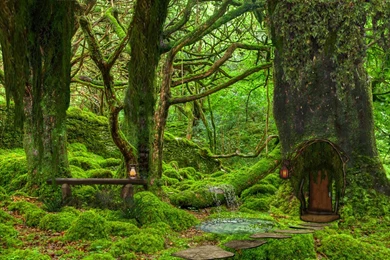 Fairy House Backgrounds By Sweetbananadreams On DeviantArt