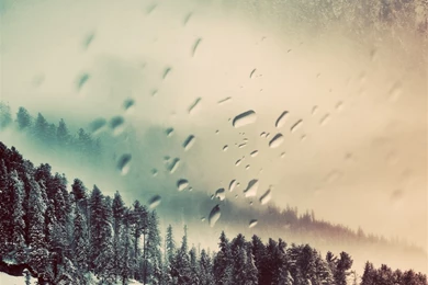 Iridescent iPad Air Wallpapers Download