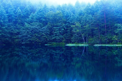 2880x1800 Lake Forest Wallpapers