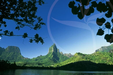 Polynesian Wallpapers