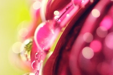 Apple Iphone 5 Wallpapers   Page 3