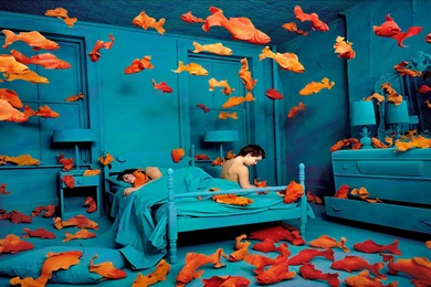 Wallpapers Tv Room Sandy Skoglund Fish Hd 1920x1080