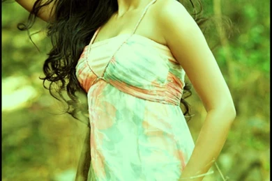 Bollywood Actress Pallavi Subhash Hd Wallpapers 2015 News,Movies ...