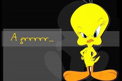 Tweety Bird Wallpapers   Wallpapers Cave