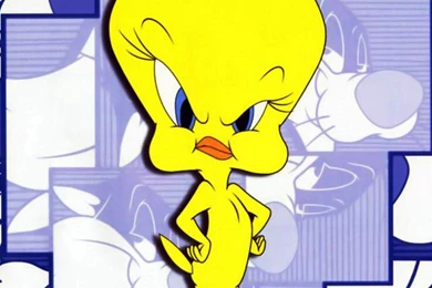 Tweety Pictures, Tweety Wallpapers