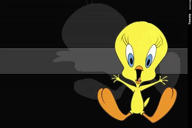 Tweety HD Wallpapers