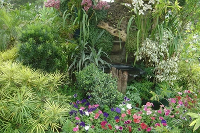 Most Popular Wallpapers ~ Toptenpack.com