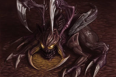 Zergling By Infernal Feline On DeviantArt