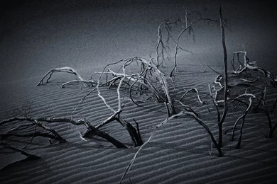 Wallpaper: Wallpapers Nietzsche